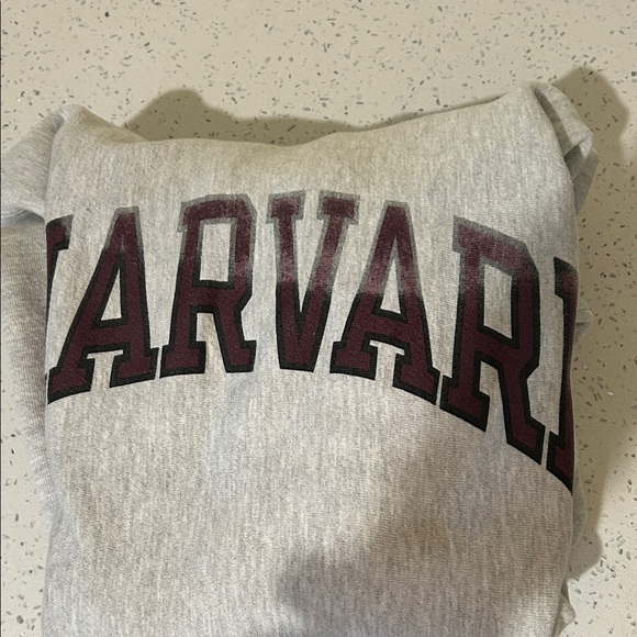 Champion Gray Harvard Hoodie - Picture 3 of 3